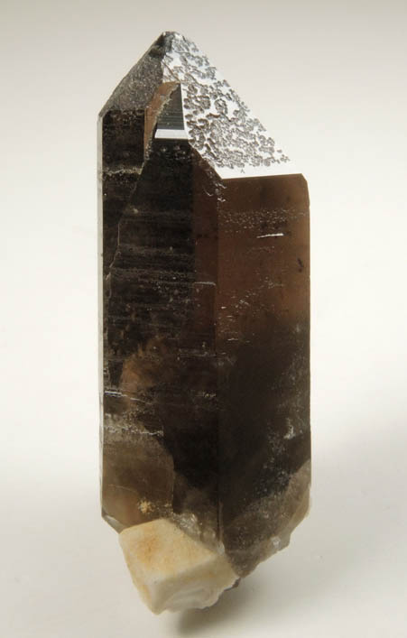 Quartz var. Smoky Quartz (Dauphin twin) from Lake George District, Park County, Colorado