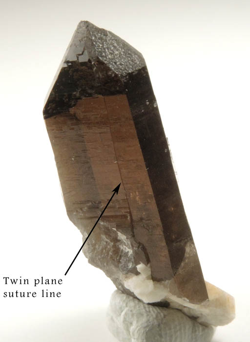 Quartz var. Smoky Quartz (Dauphin twin) from Lake George District, Park County, Colorado