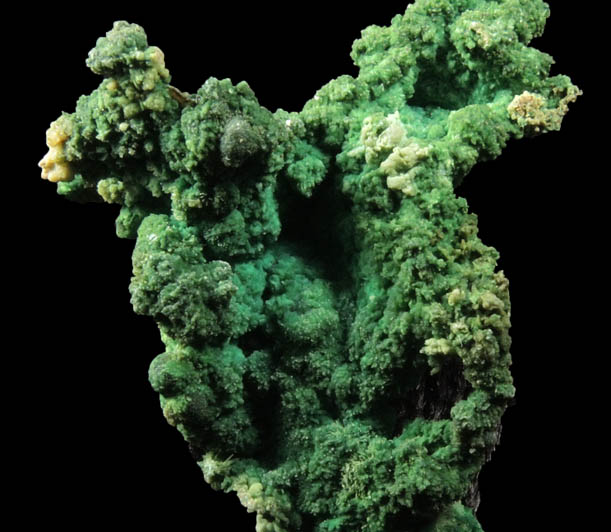 Malachite from Hansonburg District, 8.5 km south of Bingham, Socorro County, New Mexico