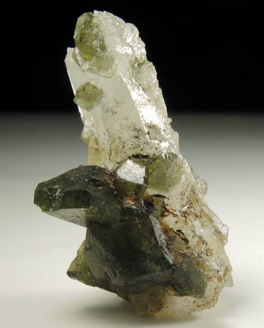 Uvite Tourmaline on Quartz from Brumado District, Serra das guas, Bahia, Brazil