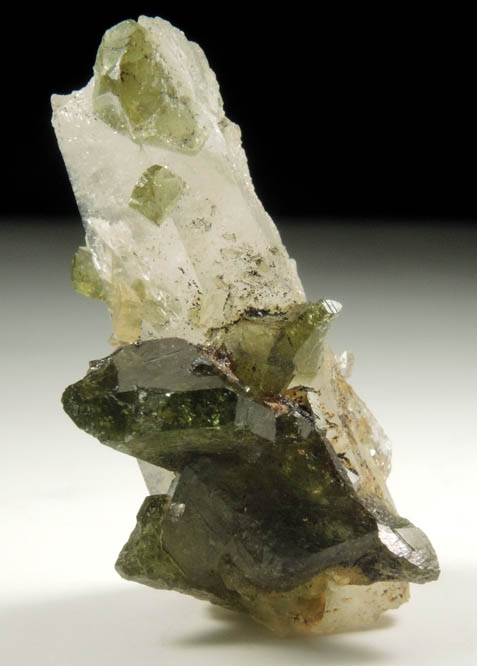 Uvite Tourmaline on Quartz from Brumado District, Serra das guas, Bahia, Brazil