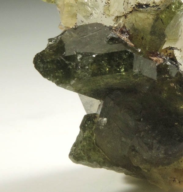 Uvite Tourmaline on Quartz from Brumado District, Serra das guas, Bahia, Brazil