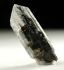 Quartz var. Black Herkimer Diamond with black hydrocarbon inclusions from Hickory Hill Diamond Diggings, Fonda, Montgomery County, New York