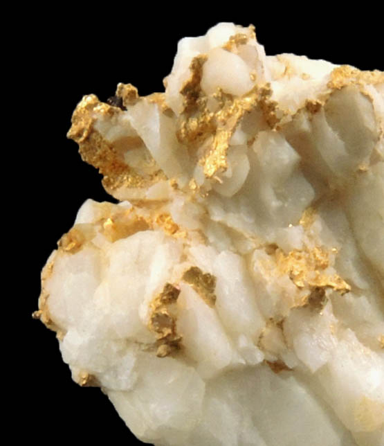 Gold (native gold) in Quartz from Mother Lode Gold Belt, Amador County, California