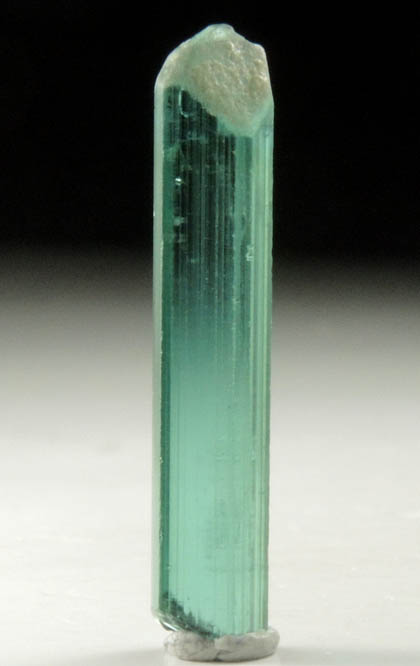 Elbaite Tourmaline from Nuristan Province, Afghanistan