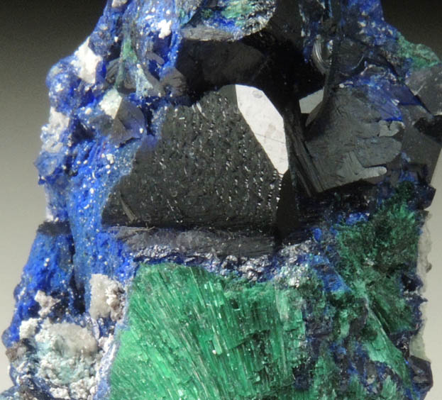 Azurite with Malachite from Milpillas Mine, Cuitaca, Sonora, Mexico