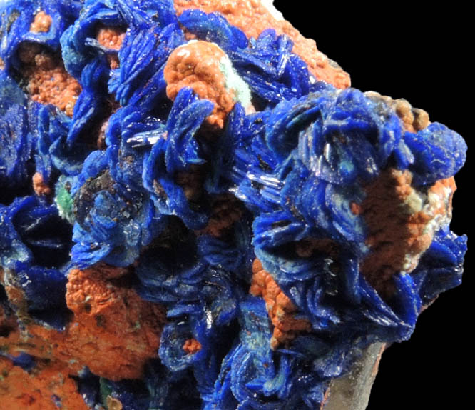 Azurite, Malachite, Limonite, Quartz from M'Ssici, Alnif Cercle, Dra-Tafilalet, Morocco