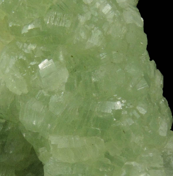 Prehnite with pseudomorphic cavities after Anhydrite from Lane's Quarry, Westfield, Hampden County, Massachusetts