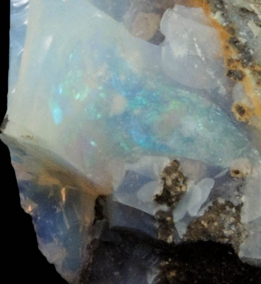 Opal var. Fire opal from Queensland, Australia