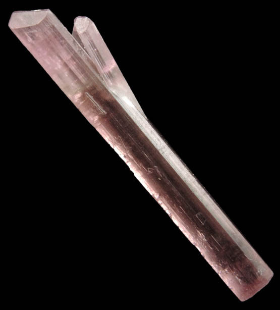 Elbaite var. Rubellite Tourmaline from Himalaya Mine, Mesa Grande District, San Diego County, California