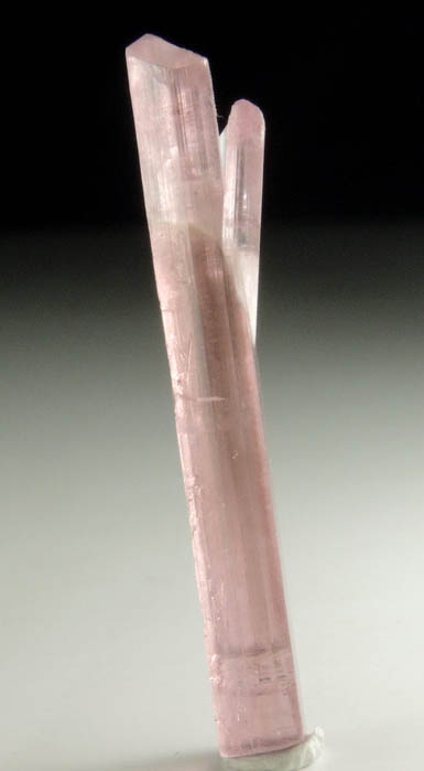 Elbaite var. Rubellite Tourmaline from Himalaya Mine, Mesa Grande District, San Diego County, California