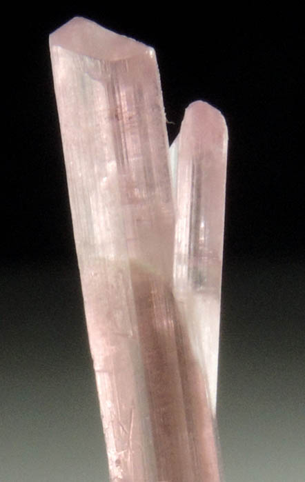 Elbaite var. Rubellite Tourmaline from Himalaya Mine, Mesa Grande District, San Diego County, California