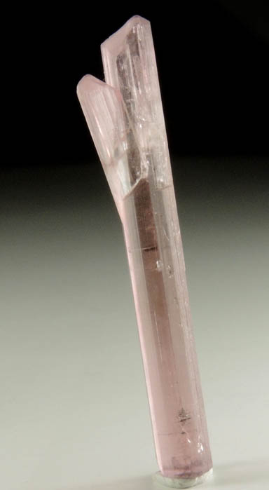 Elbaite var. Rubellite Tourmaline from Himalaya Mine, Mesa Grande District, San Diego County, California