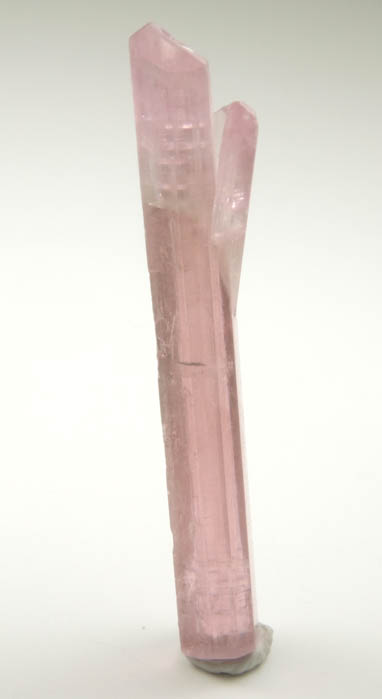 Elbaite var. Rubellite Tourmaline from Himalaya Mine, Mesa Grande District, San Diego County, California