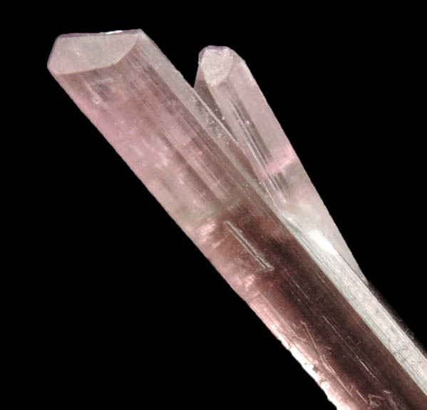 Elbaite var. Rubellite Tourmaline from Himalaya Mine, Mesa Grande District, San Diego County, California