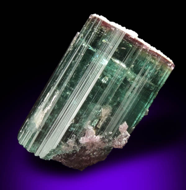 Elbaite var. Bi-colored Tourmaline with Lepidolite from Santa Rosa Mine, Itambacuri, Minas Gerais, Brazil