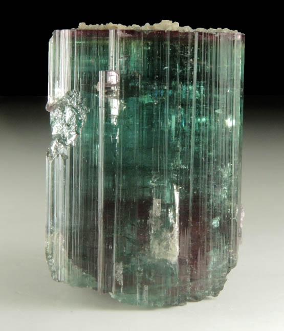 Elbaite var. Bi-colored Tourmaline with Lepidolite from Santa Rosa Mine, Itambacuri, Minas Gerais, Brazil