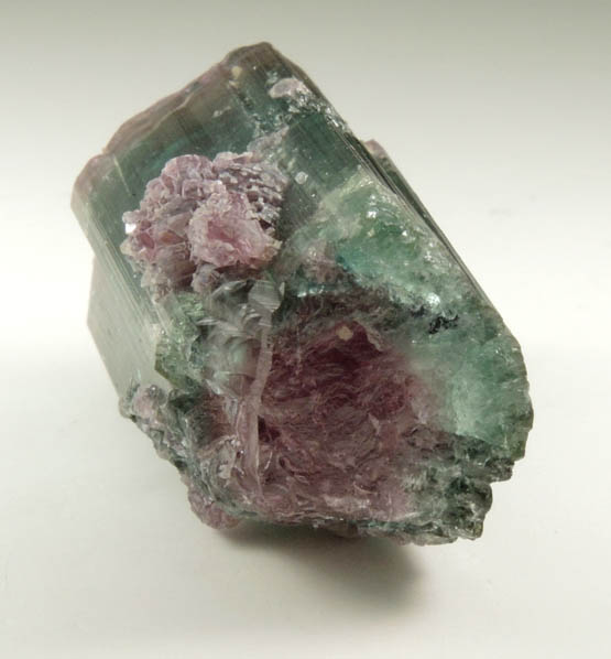 Elbaite var. Bi-colored Tourmaline with Lepidolite from Santa Rosa Mine, Itambacuri, Minas Gerais, Brazil