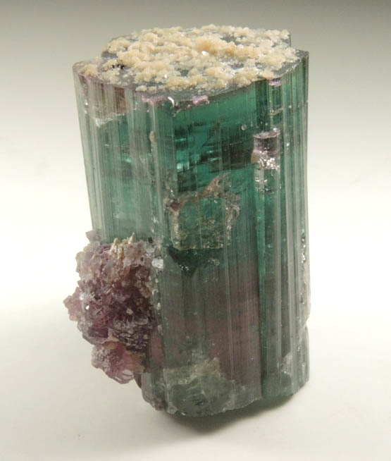 Elbaite var. Bi-colored Tourmaline with Lepidolite from Santa Rosa Mine, Itambacuri, Minas Gerais, Brazil