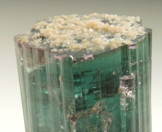 Elbaite var. Bi-colored Tourmaline with Lepidolite from Santa Rosa Mine, Itambacuri, Minas Gerais, Brazil