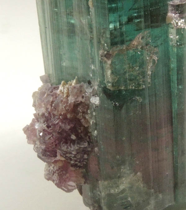 Elbaite var. Bi-colored Tourmaline with Lepidolite from Santa Rosa Mine, Itambacuri, Minas Gerais, Brazil