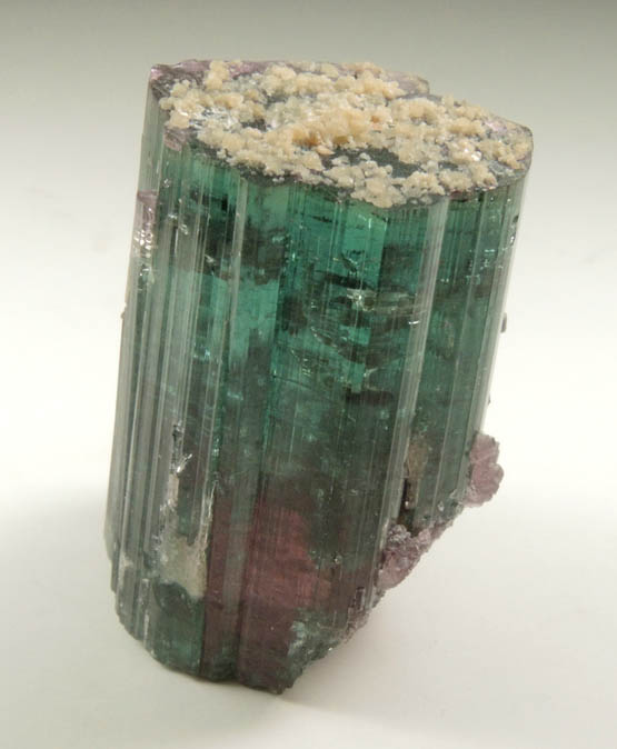 Elbaite var. Bi-colored Tourmaline with Lepidolite from Santa Rosa Mine, Itambacuri, Minas Gerais, Brazil