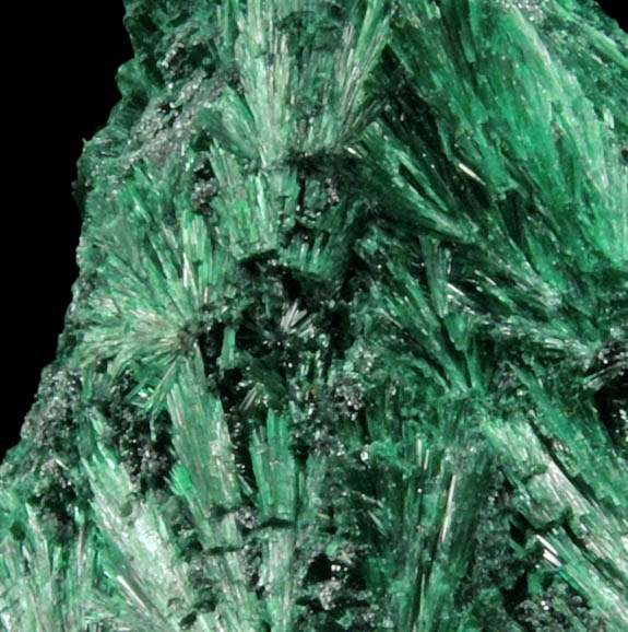 Malachite (fibrous form) from Kolwezi Mining District, 240 km WNW of  Lubumbashi, Katanga Copperbelt, Lualaba Province, Democratic Republic of the Congo