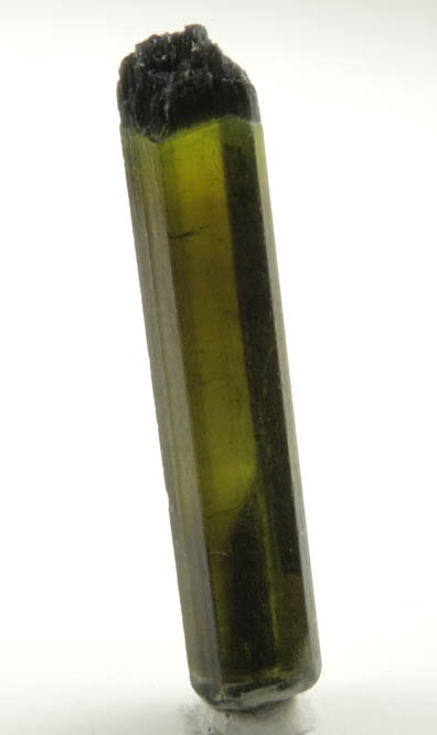 Elbaite Tourmaline from Minas Gerais, Brazil