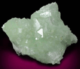 Hydroxyapophyllite-(K) (formerly apophyllite-(KOH)) on Prehnite from Bull Run Quarry, near Conklin, Loudoun County, Virginia