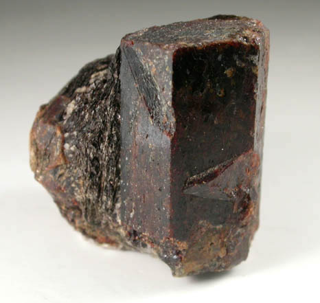 Staurolite from Cook Road locality, Windham, Cumberland County, Maine