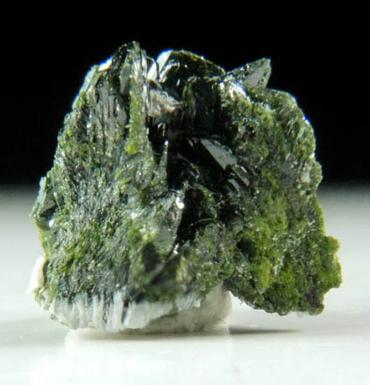 Volborthite from Milpillas Mine, Cuitaca, Sonora, Mexico