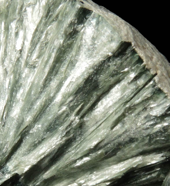 Clinochlore var. Seraphinite from Korzunovskoe, near Zheleznogorsk, Angara-Ilim Basin, Irkutskaya Oblast', Russia