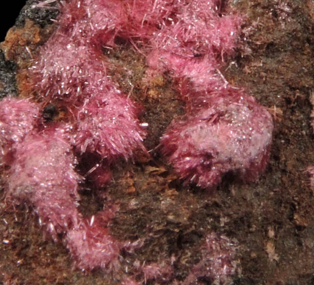 Erythrite from San Bernardo, Sonora, Mexico