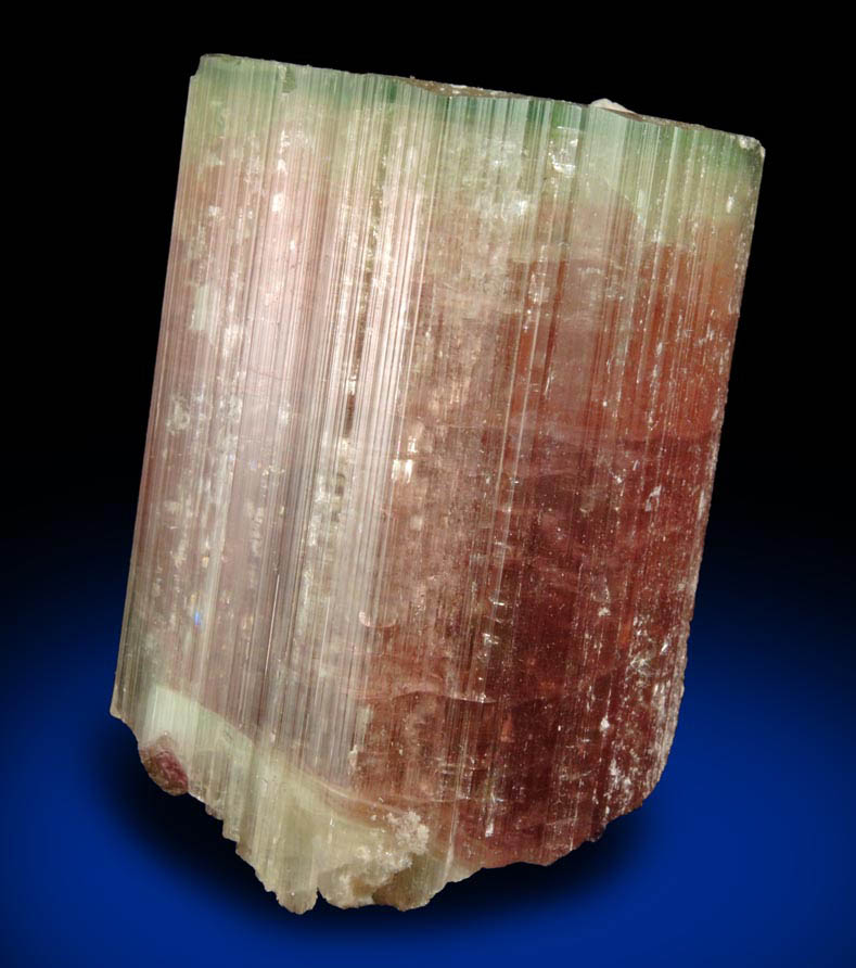 Elbaite Tourmaline (bi-colored) from Himalaya Mine, Mesa Grande District, San Diego County, California