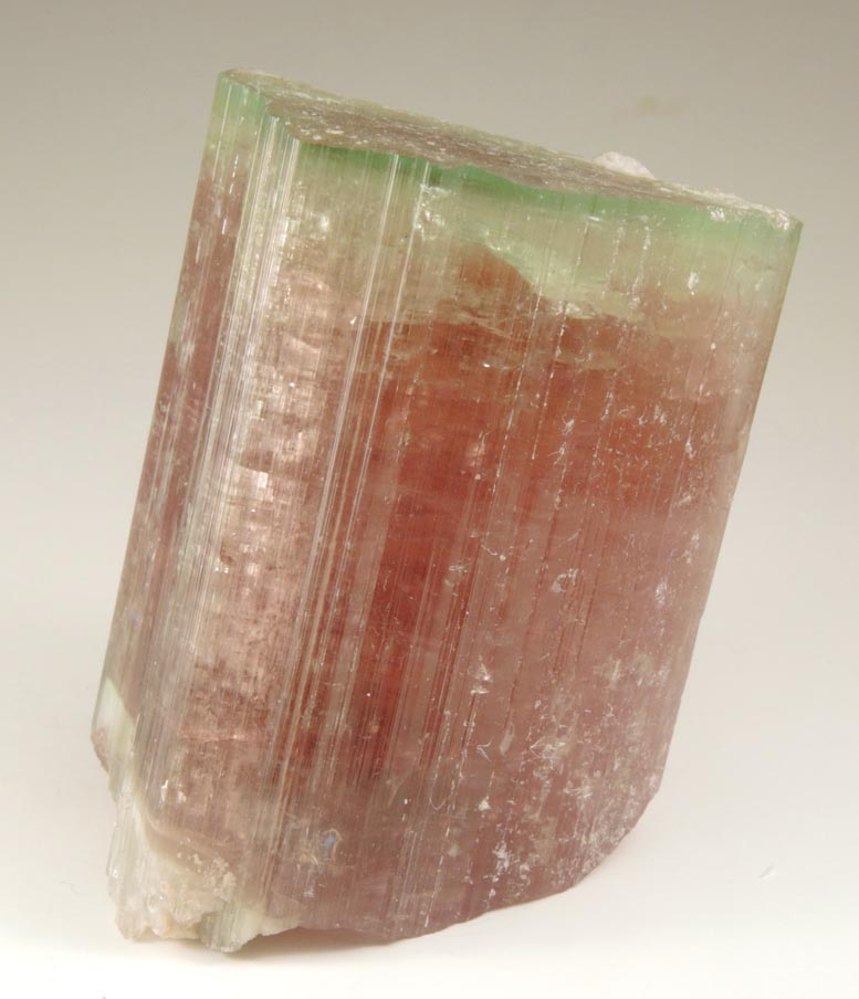 Elbaite Tourmaline (bi-colored) from Himalaya Mine, Mesa Grande District, San Diego County, California