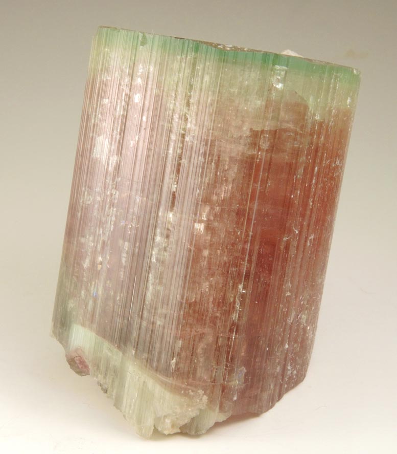 Elbaite Tourmaline (bi-colored) from Himalaya Mine, Mesa Grande District, San Diego County, California