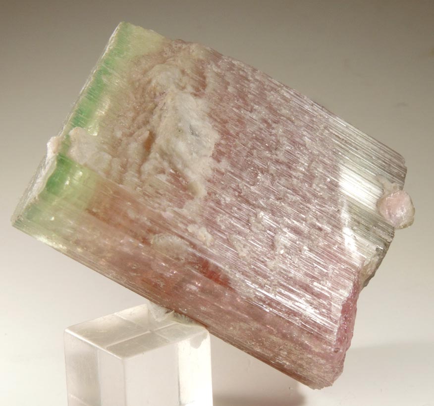Elbaite Tourmaline (bi-colored) from Himalaya Mine, Mesa Grande District, San Diego County, California