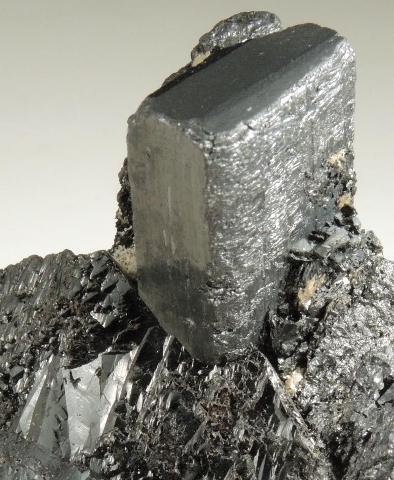 Columbite on twinned Cassiterite from Itambe, Bahia, Brazil