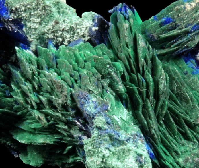 Malachite pseudomorphs after Azurite from Morenci Mine, Clifton District, Greenlee County, Arizona