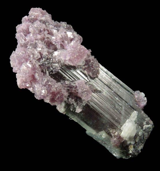 Elbaite Tourmaline with Lepidolite from Pederneira Mine, Sao Jos da Safira, Minas Gerais, Brazil