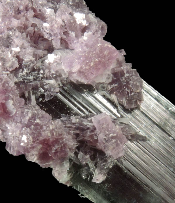 Elbaite Tourmaline with Lepidolite from Pederneira Mine, Sao Jos da Safira, Minas Gerais, Brazil