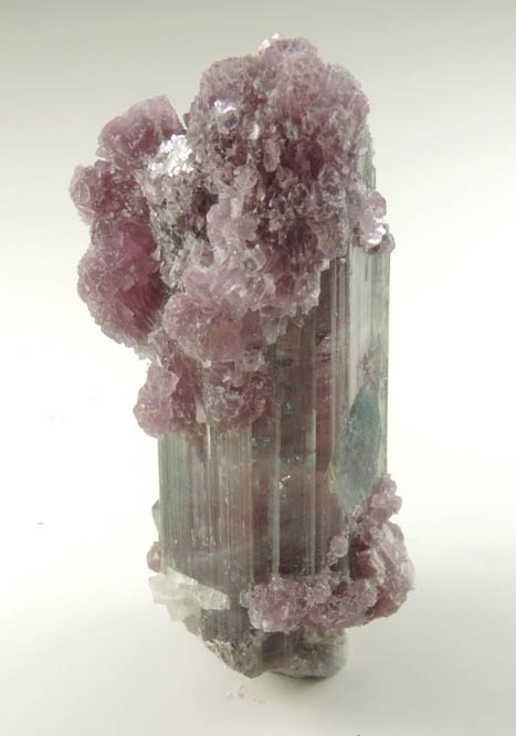 Elbaite Tourmaline with Lepidolite from Pederneira Mine, Sao Jos da Safira, Minas Gerais, Brazil