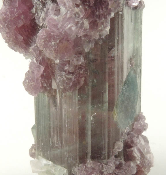 Elbaite Tourmaline with Lepidolite from Pederneira Mine, Sao Jos da Safira, Minas Gerais, Brazil