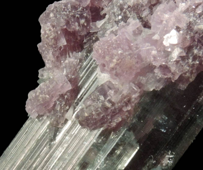 Elbaite Tourmaline with Lepidolite from Pederneira Mine, Sao Jos da Safira, Minas Gerais, Brazil