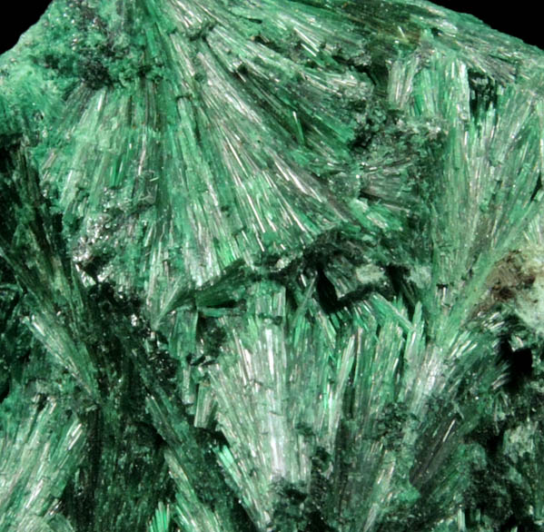 Malachite (fibrous form) from Kolwezi Mining District, 240 km WNW of  Lubumbashi, Katanga Copperbelt, Lualaba Province, Democratic Republic of the Congo