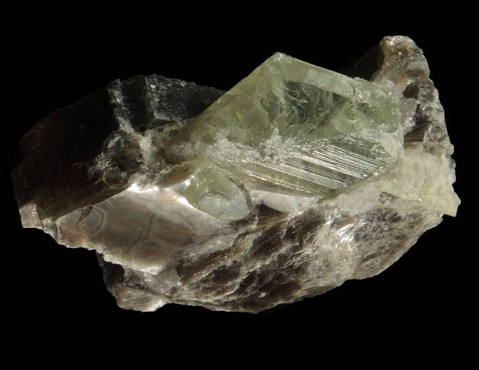 Chrysoberyl (twinned crystals) on Muscovite from Rio das Pratinhas, Arataca, Bahia, Brazil