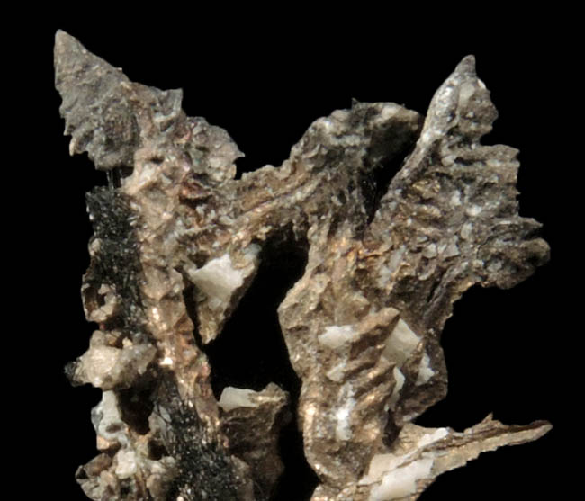 Silver from Andres del Rio District, Batopilas, Chihuahua, Mexico