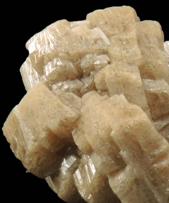 Whiteite-(CaFeMg) with Siderite from Rapid Creek, 70 km northwest of Aklavik, Yukon, Canada (Type Locality for Whiteite-(CaFeMg))