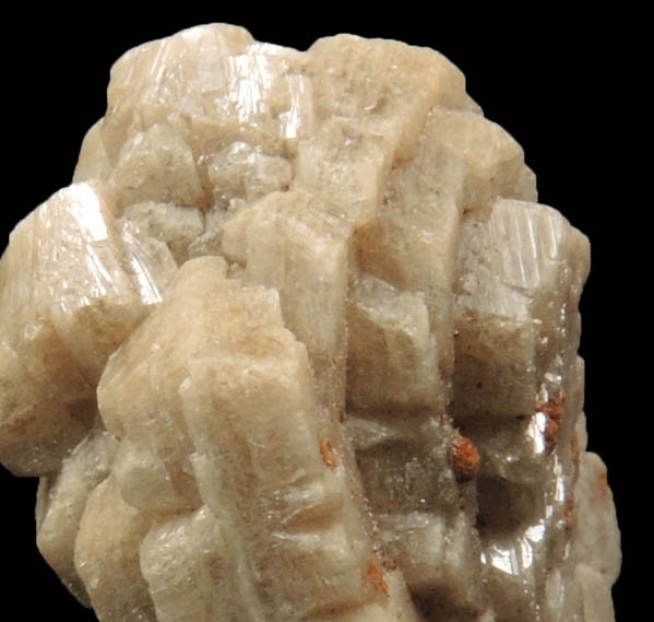 Whiteite-(CaFeMg) with Siderite from Rapid Creek, 70 km northwest of Aklavik, Yukon, Canada (Type Locality for Whiteite-(CaFeMg))