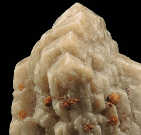 Whiteite-(CaFeMg) with Siderite from Rapid Creek, 70 km northwest of Aklavik, Yukon, Canada (Type Locality for Whiteite-(CaFeMg))